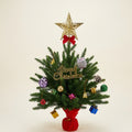 Sapin avec étoile et 15 décorations — vue principale