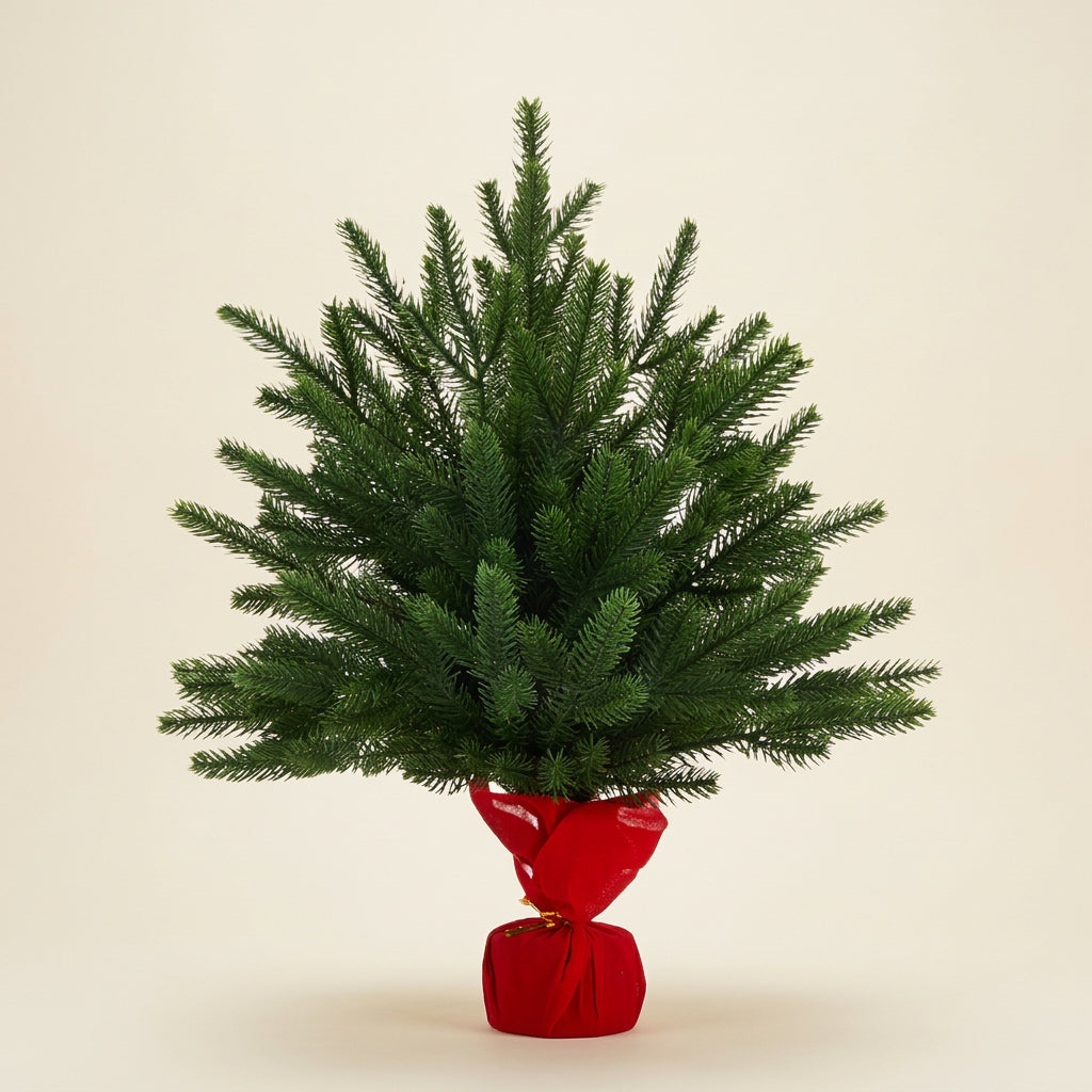 Sapin sans décorations — vue principale